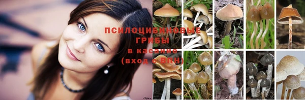 прущий лед Лабытнанги