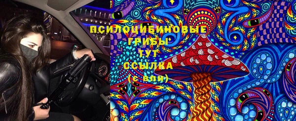 ешки Горнозаводск