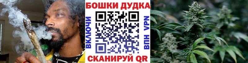 Канабис сатива  Лодейное Поле 